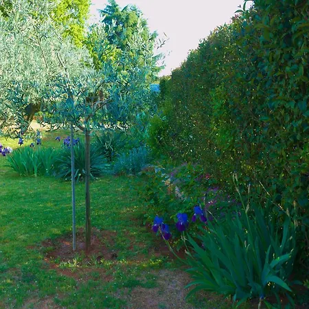 Apartamento Nada Poreč